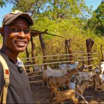 Zimbabwe’s diaspora reshapes real estate and farming investment trends