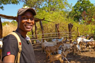 Zimbabwe’s diaspora reshapes real estate and farming investment trends