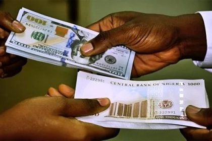 Naira Holds Firm as CBN's Hawkish Stance, Higher Oil Output Boost FX Stability